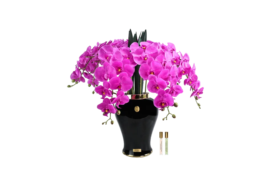 Côte Noire Imperial Orchidée Fuchsia Vase Noir