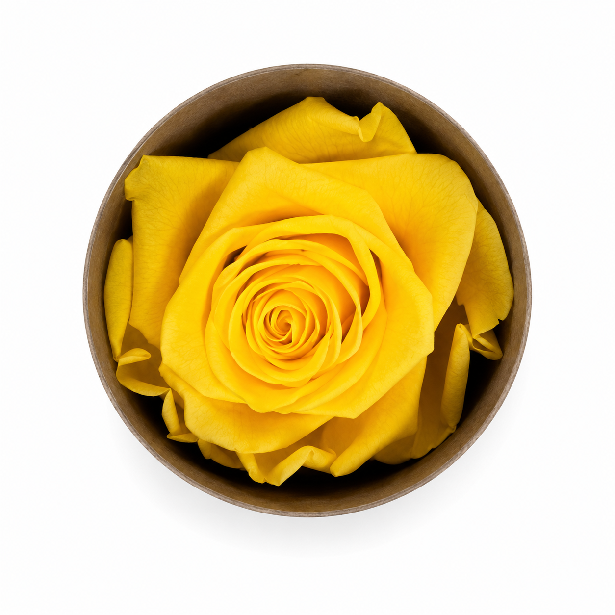 Ateliers Ouchamp Boites Rue des Roses boite rose rouge