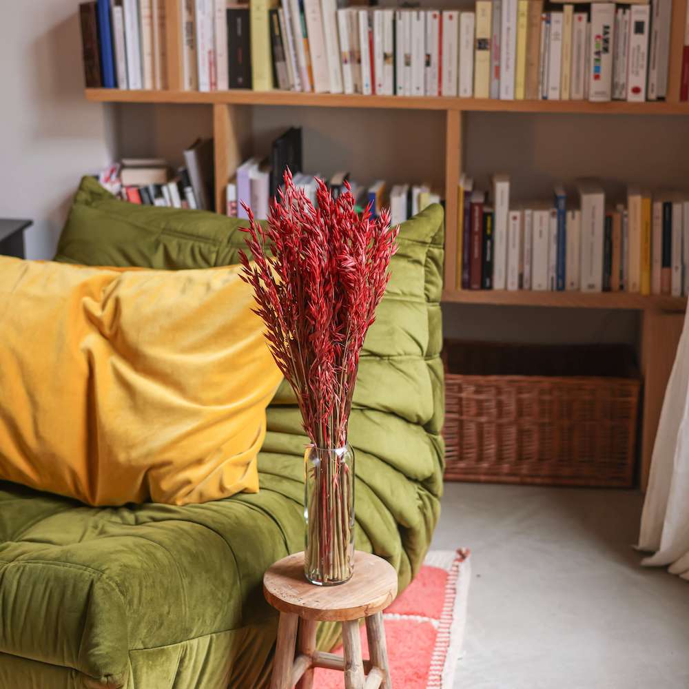 Flowrette Avoine rouge fleurs séchées botte x1