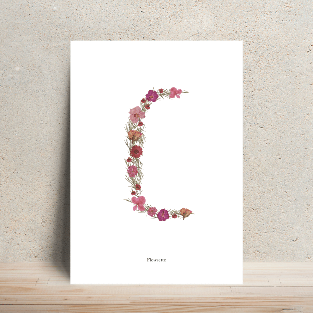Flowrette affiche A4 herbier lettre R rose