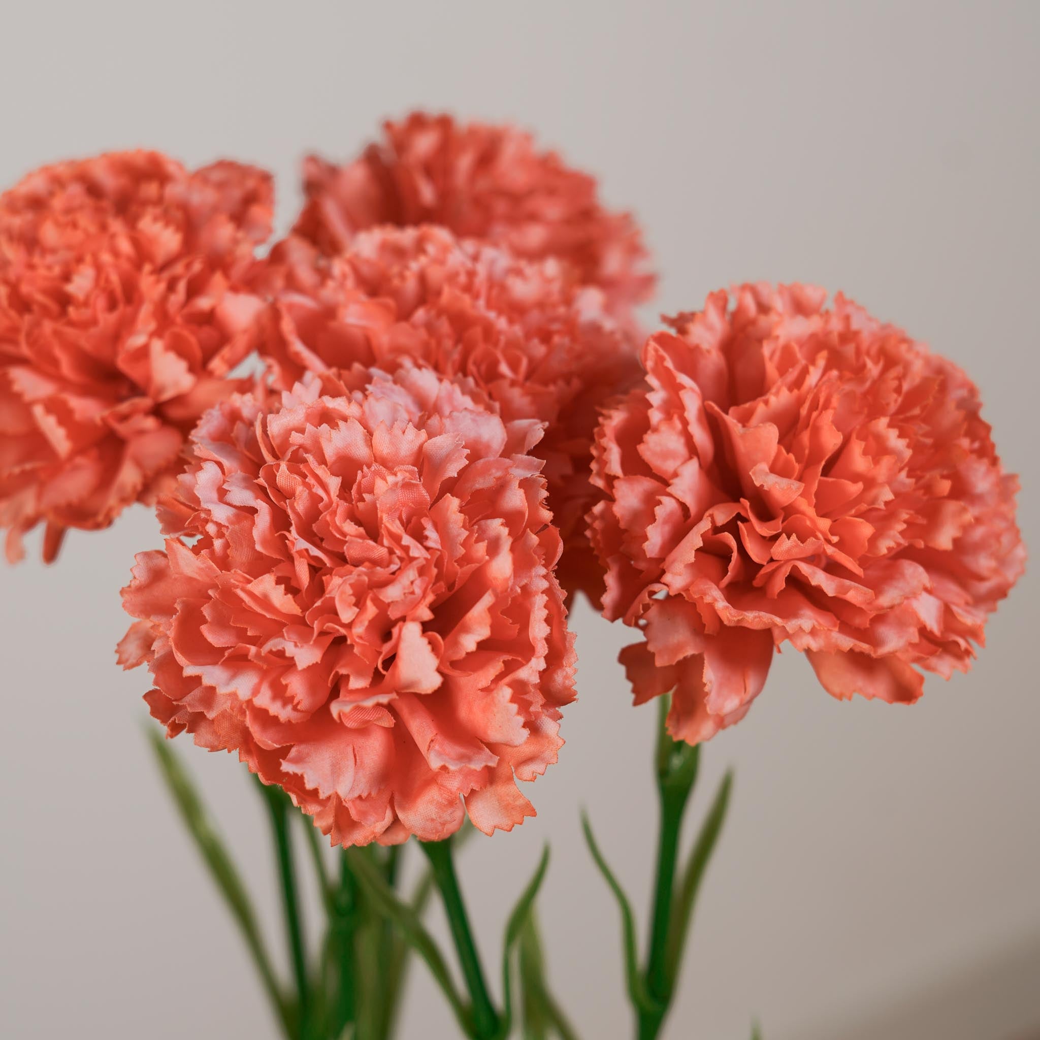 Flowrette Oeillet artificiel corail tige x1 toucher naturel