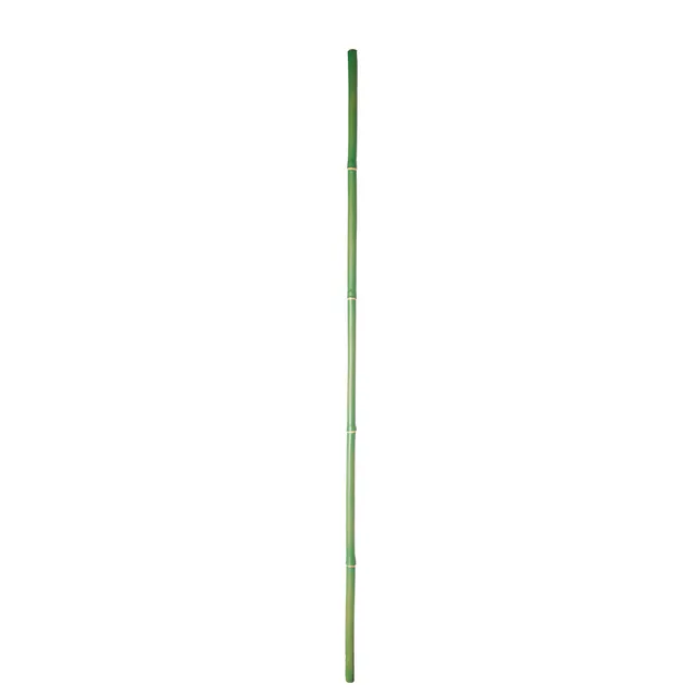 Sia Home Bambou branche artificielle verte 101 cm