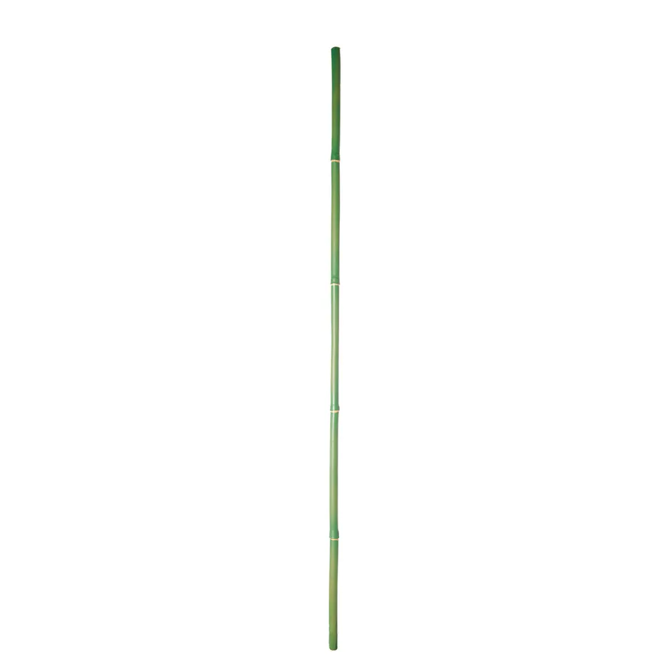 Sia Home Bambou branche artificielle verte 101 cm