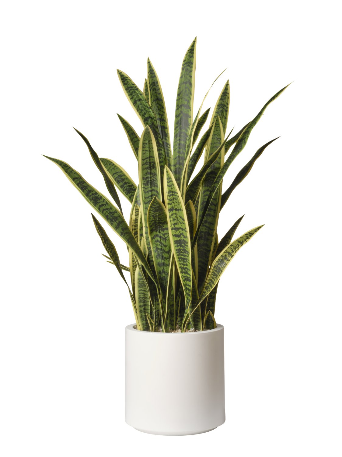 Feuillazur Rungis Sansevieria plante artificielle vert 135 cm