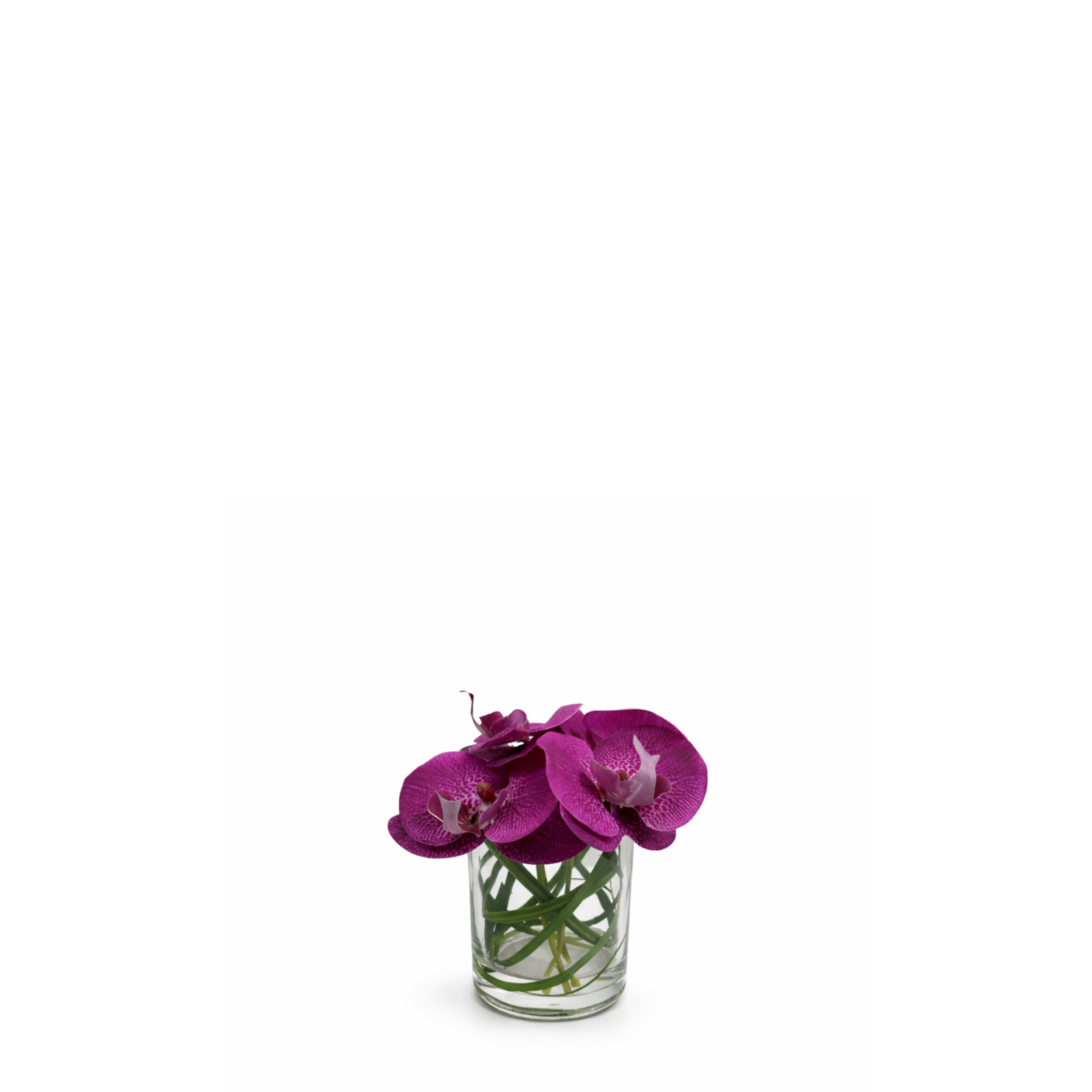 Sia Home Elie composition orchidée blanche vase 17 cm