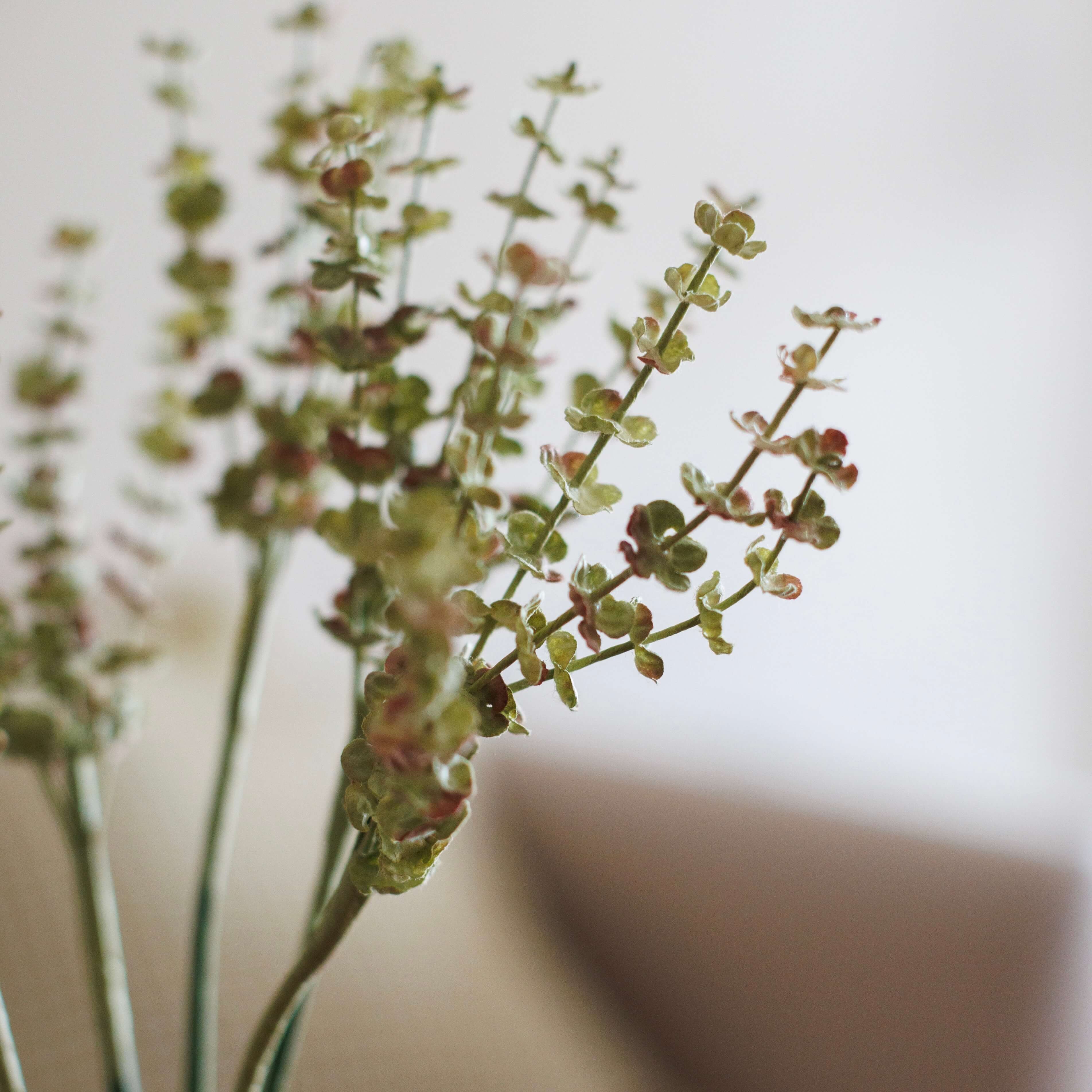 Flowrette Fleurs en papier Brins d'astilbe vert fleur x1 verdure