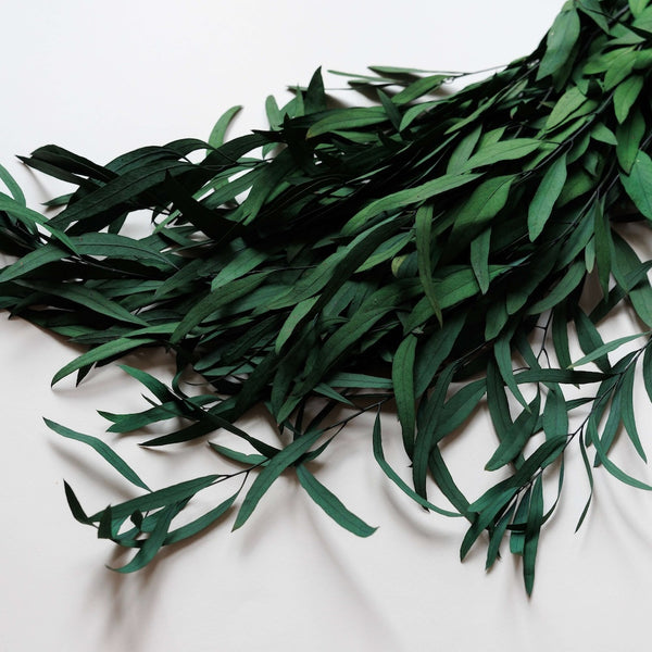 Flowrette Eucalyptus Nicoli botte stabilisée verte