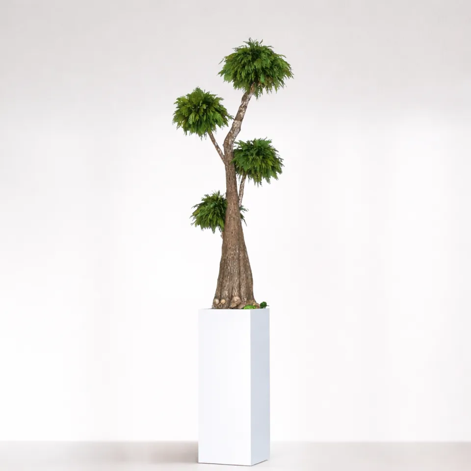 Ateliers Ouchamp Jumbo Thuja stabilisé 1m60