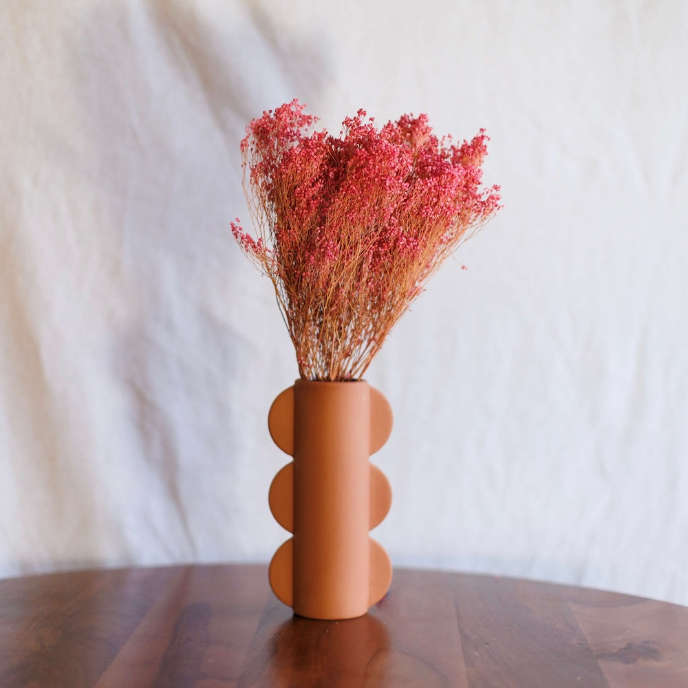 Flowrette Broom Bloom botte fleurs séchées rose x1