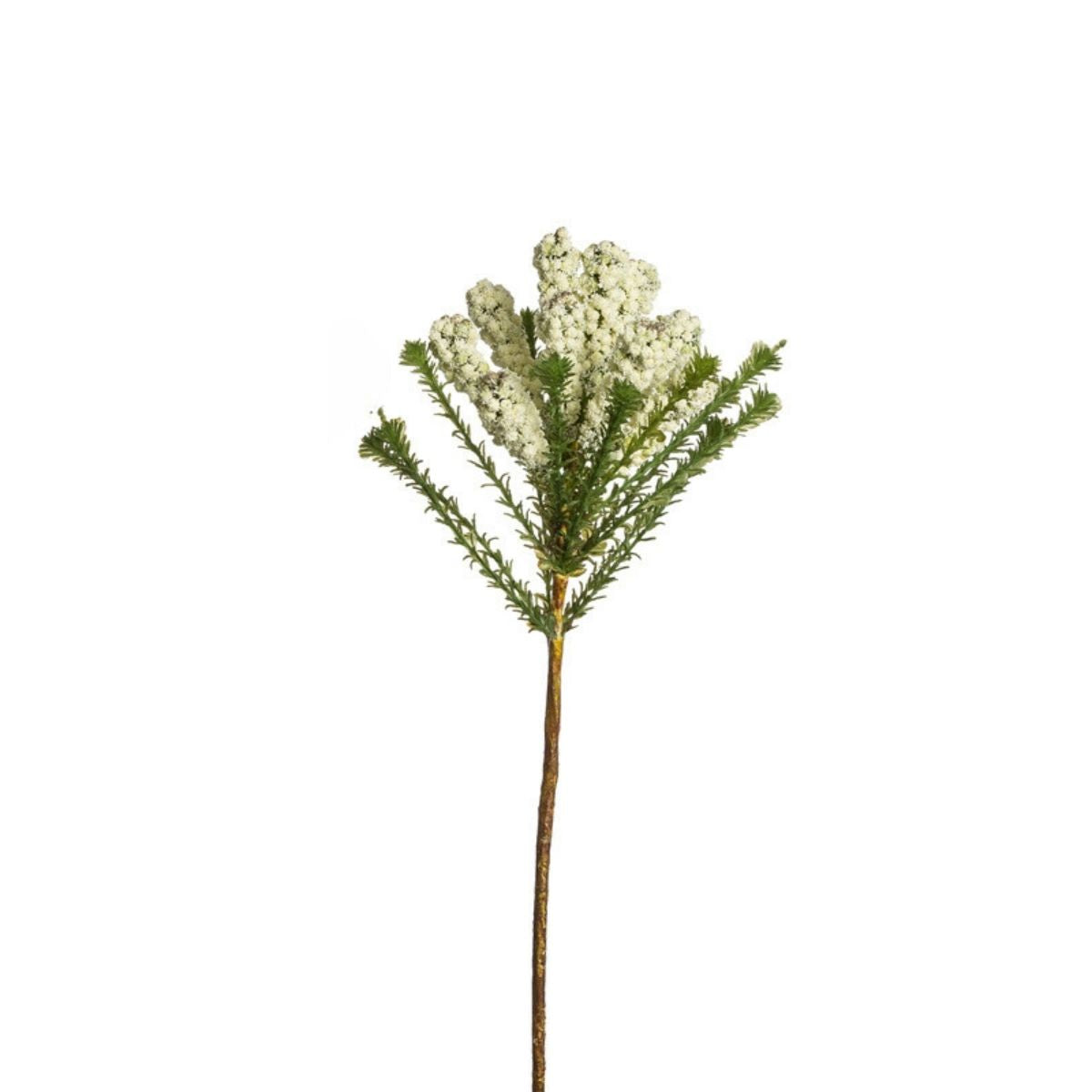 Sia Home Pin africain feuillage artificiel crème vert 48 cm
