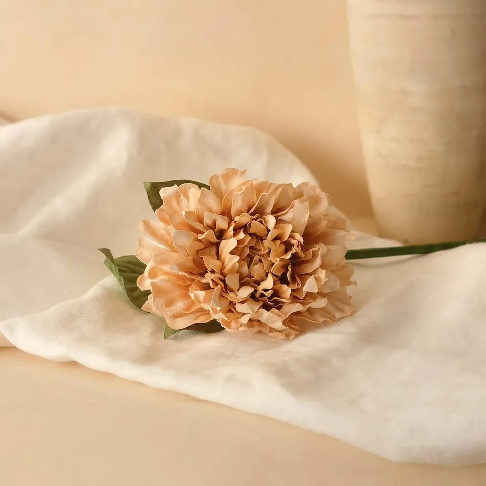 Flowrette Dahlia fleur papier beige x1 tige