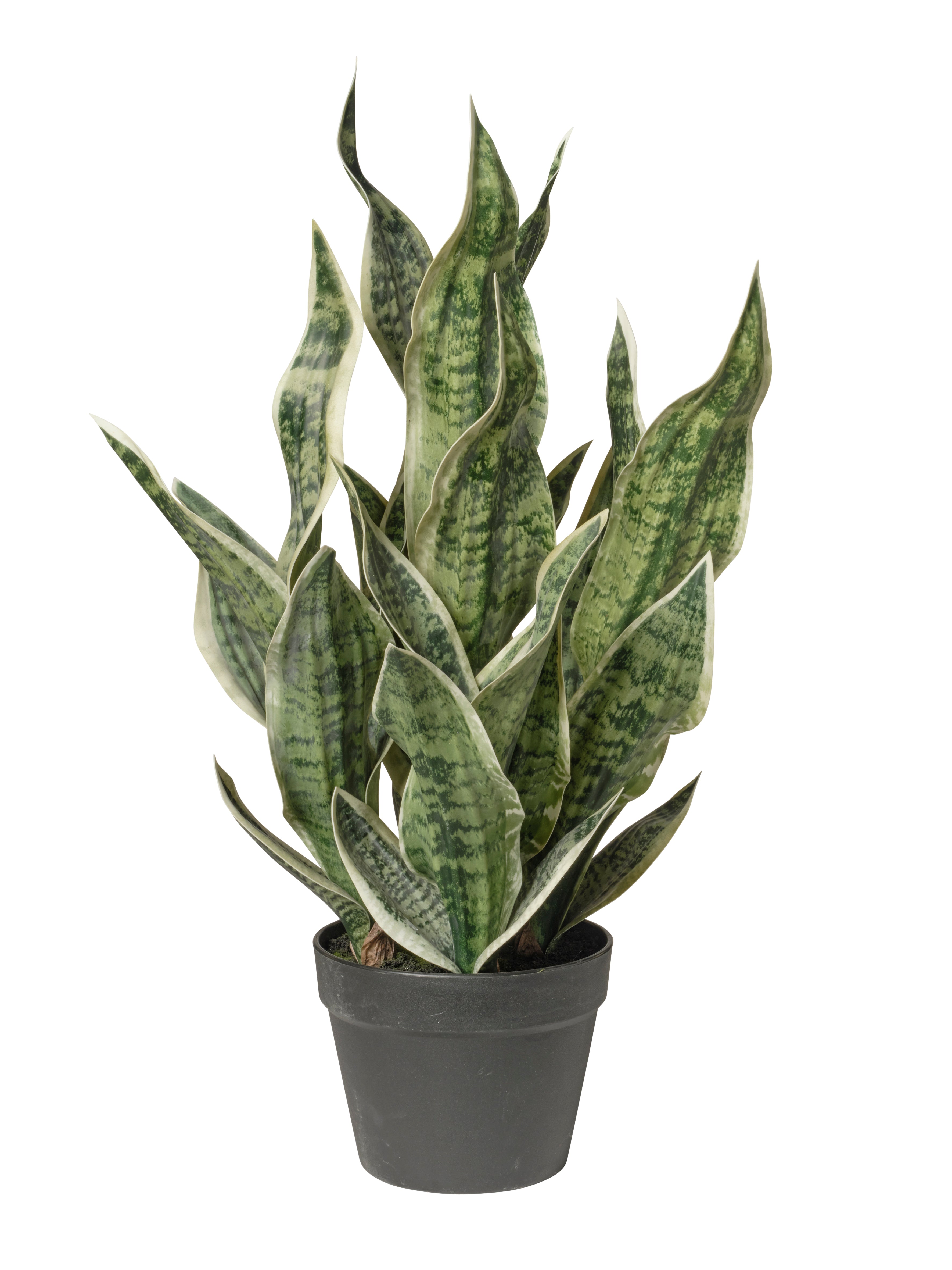 Feuillazur Dracaena plante artificielle vert 81cm