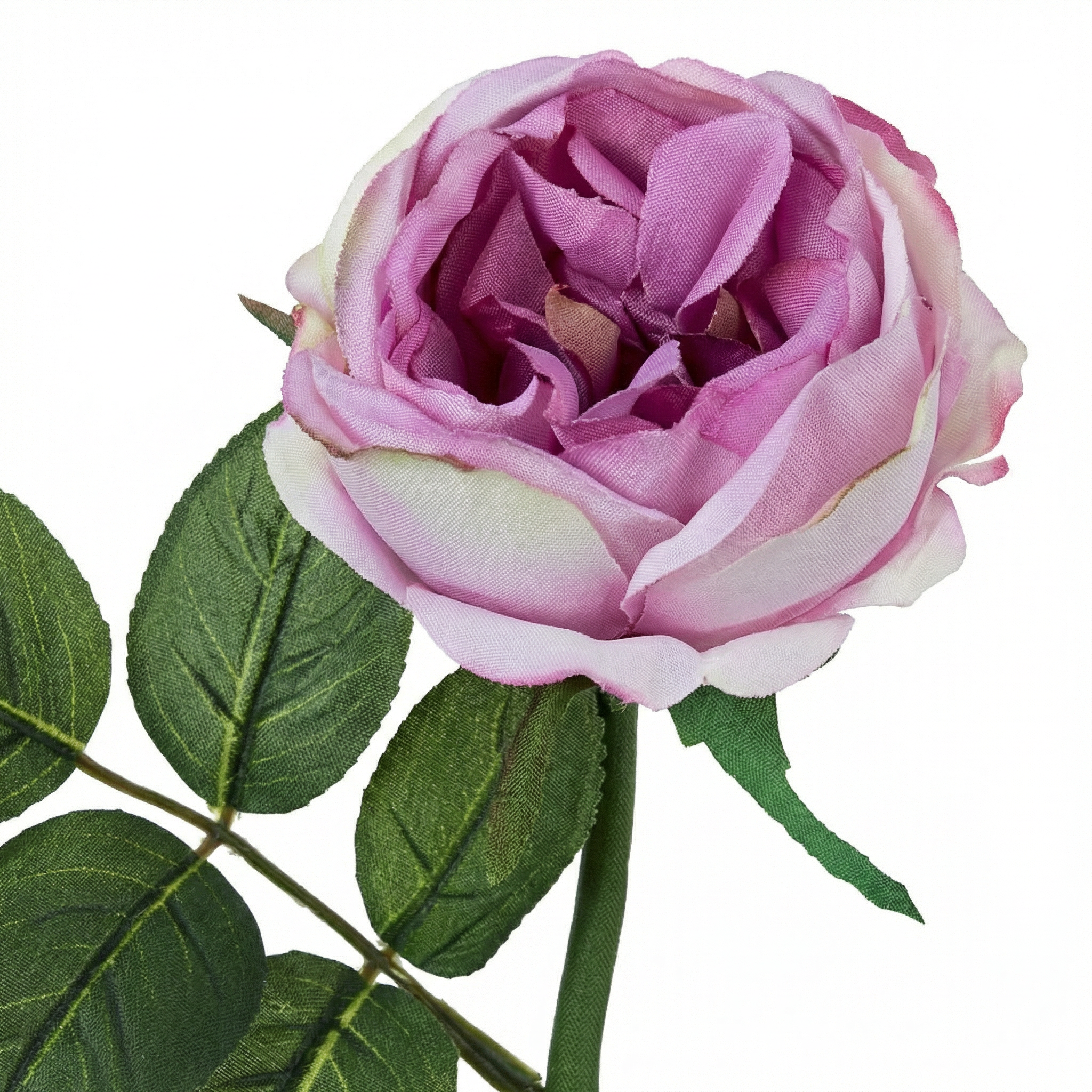 Sia Home Tige Rose Maria Waterproof 32 cm rose mauve