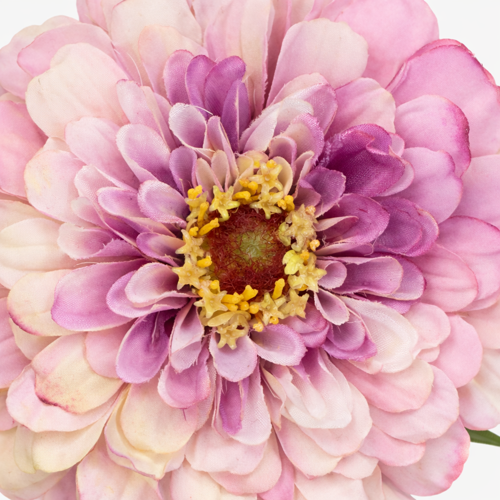 Sia Home Tiges Zinnia tige fleur artificielle orange 68 cm