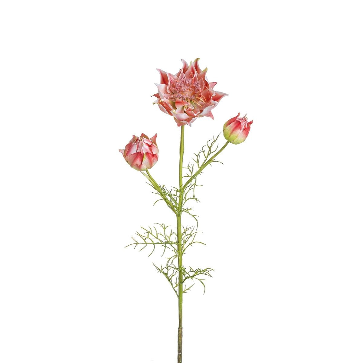 Sia Home Tige de Serruria fleur artificielle fuchsia 112 cm