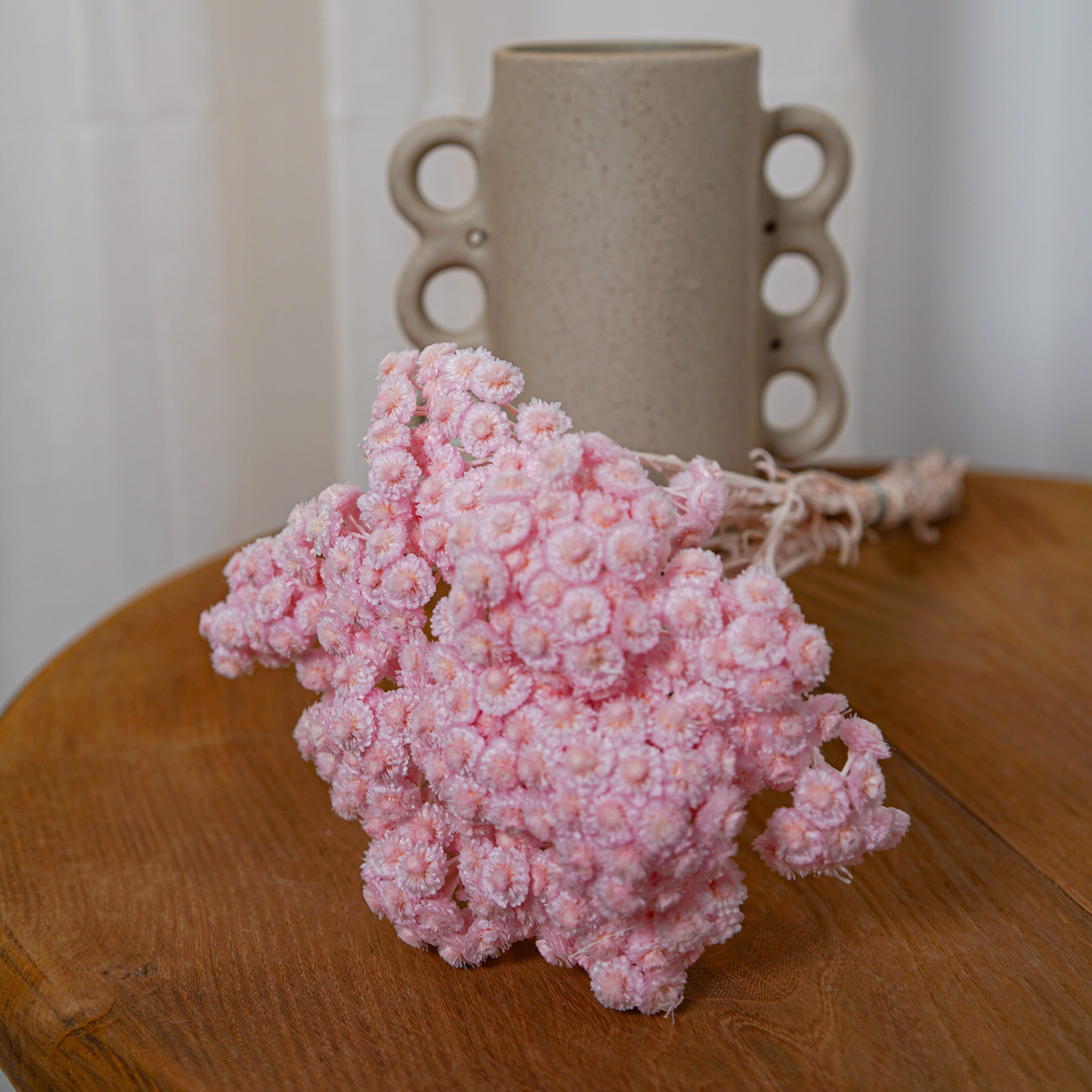Flowrette Immortelles du Var fleurs séchées rose botte x1