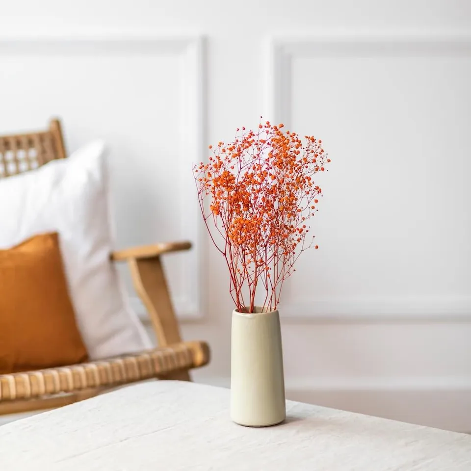 Flowrette Fleurs séchées botte gypsophile orange stabilisé x1