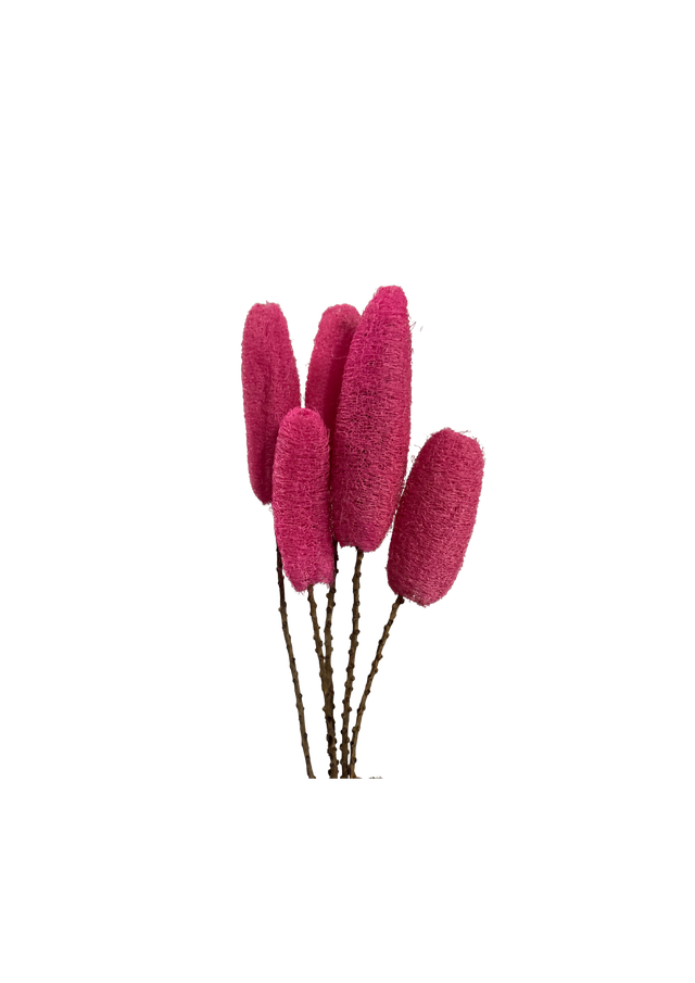 Feuillazur Luffa fleur séchée violet décor naturel