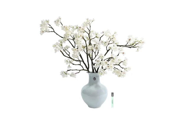 Côte Noire Chinoiserie CEL01 fleurs cerisier blanc céladon