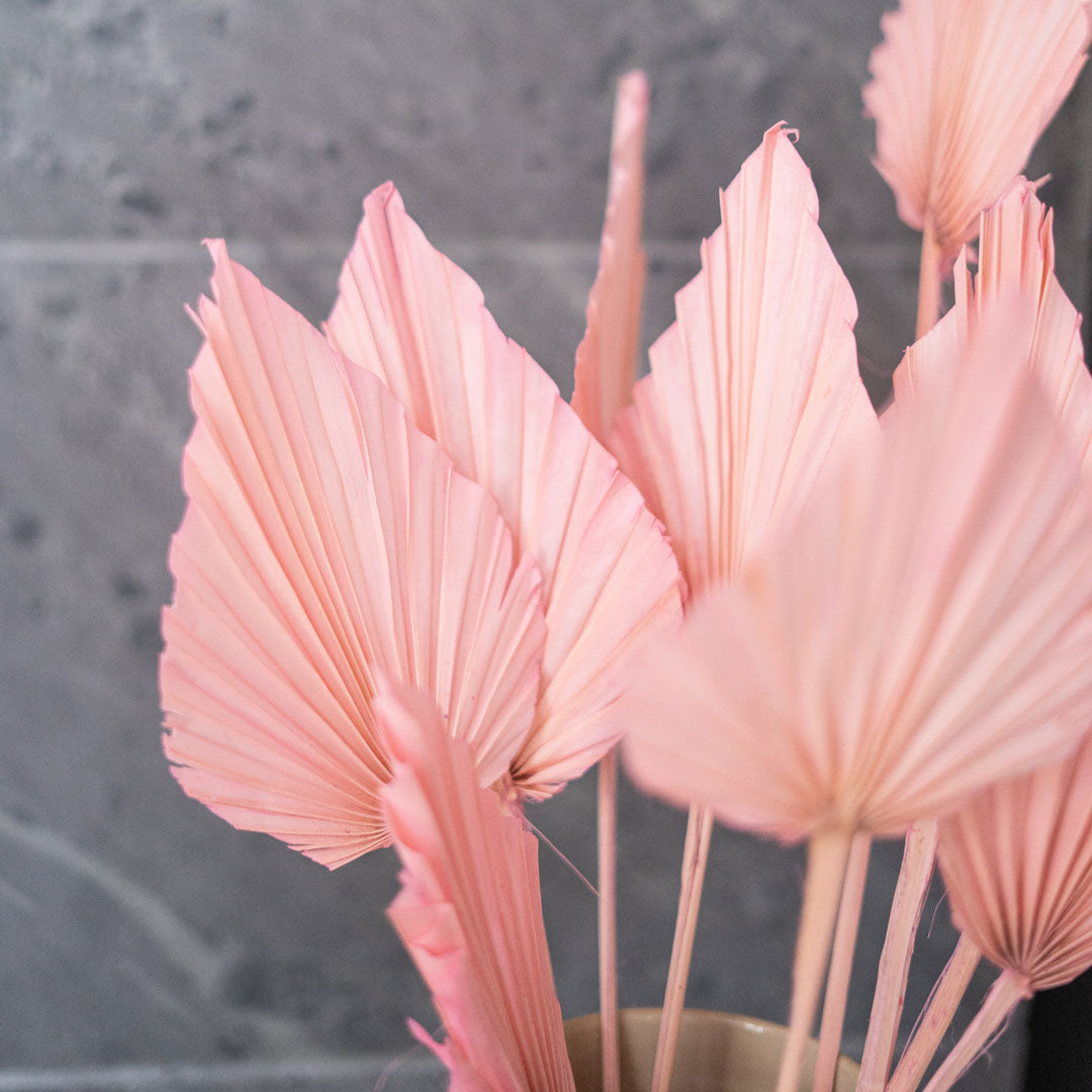 Flowrette Palme rose fleur séchée x5 bohème