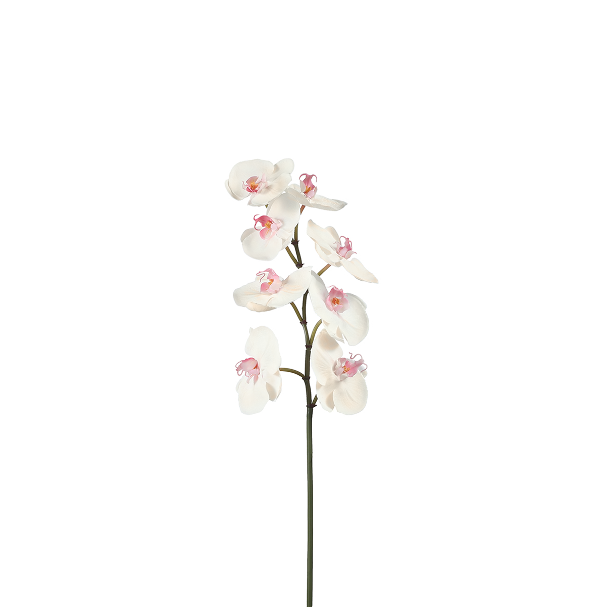 Sia Home Orchidée Phalaenopsis 60 cm tige artificielle blanc