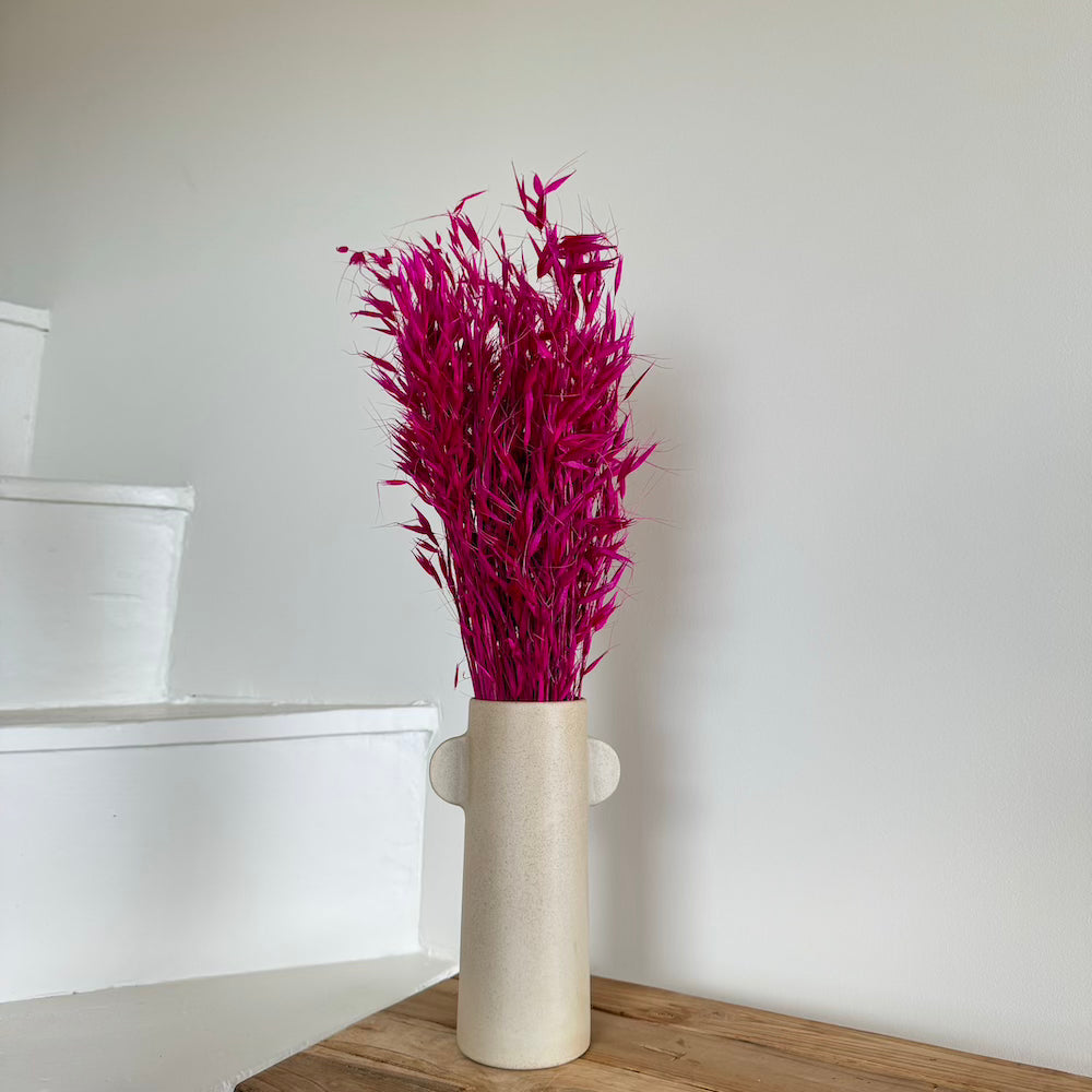 Flowrette Avoine botte fleurs séchées magenta x1