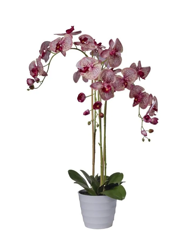 Feuillazur Rungis Orchidées 3 branches fleur rose