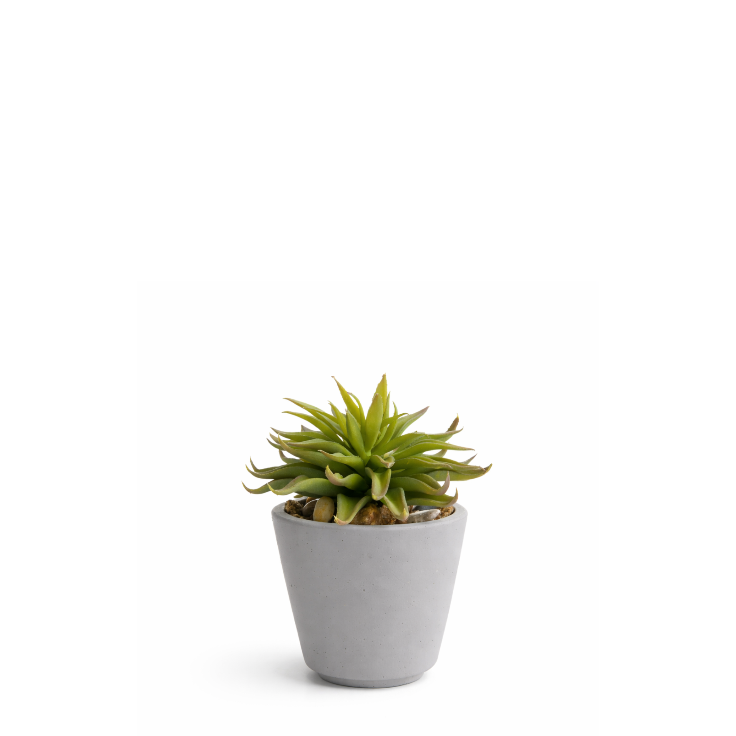 Sia Home Maya succulente artificielle verte pot 18 cm