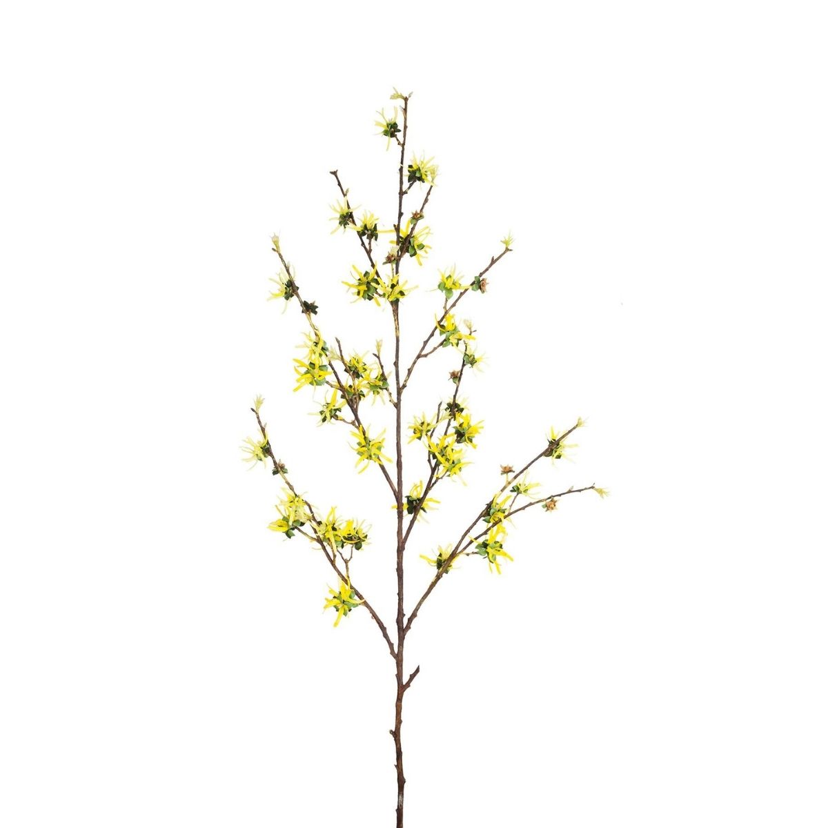 Sia Home Hamamélis tige fleur artificielle jaune 135 cm