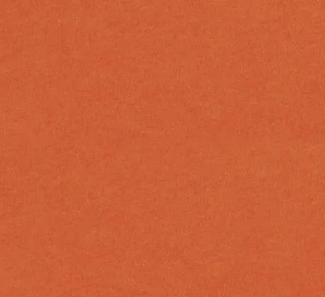 Feuillazur Rungis Contenants & Décoration moquette orange 2 m