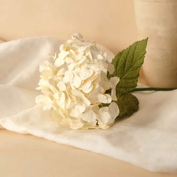 Flowrette Cream paper hydrangea fleur papier crème