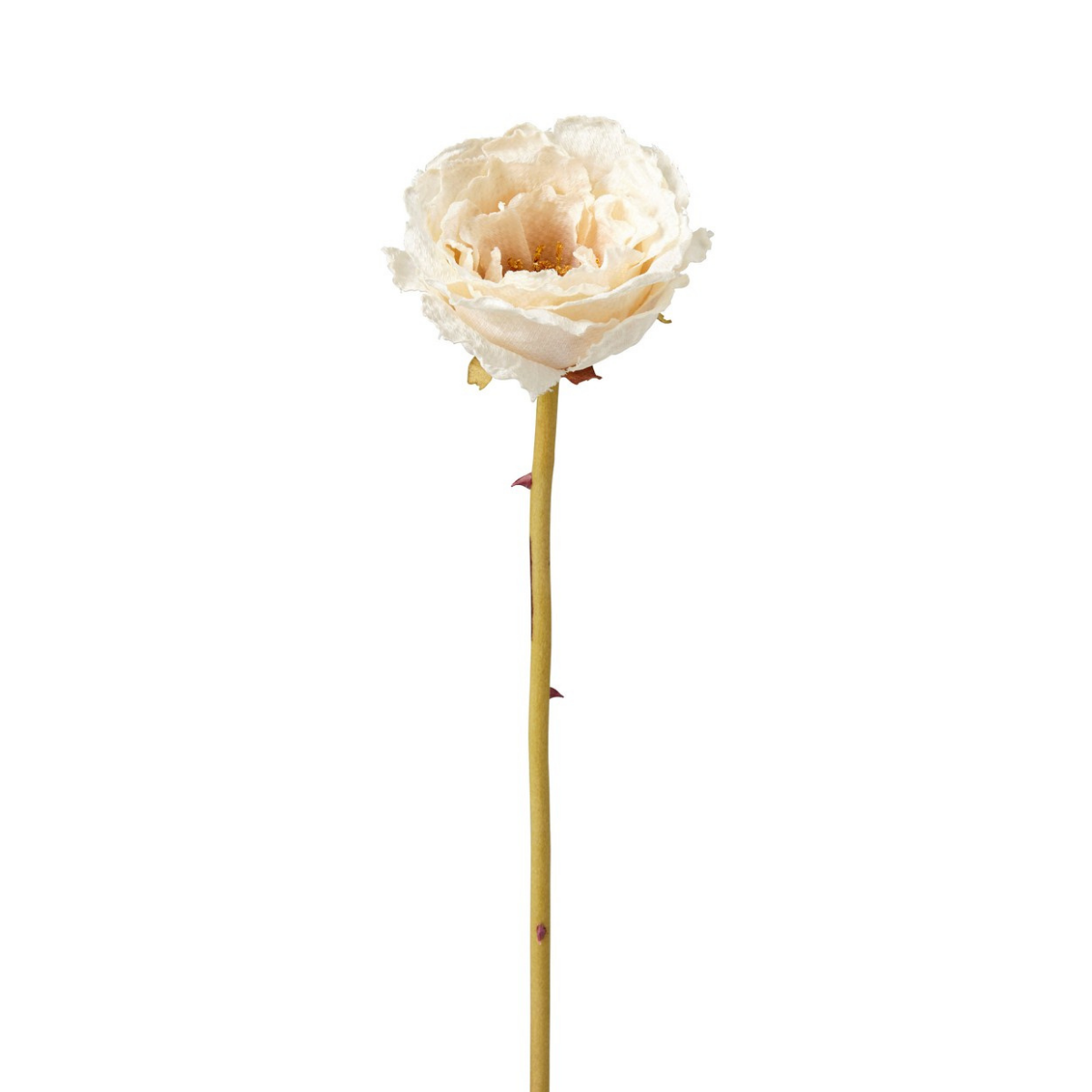 Sia Home Leslie Rose fermée artificielle marron 55 cm