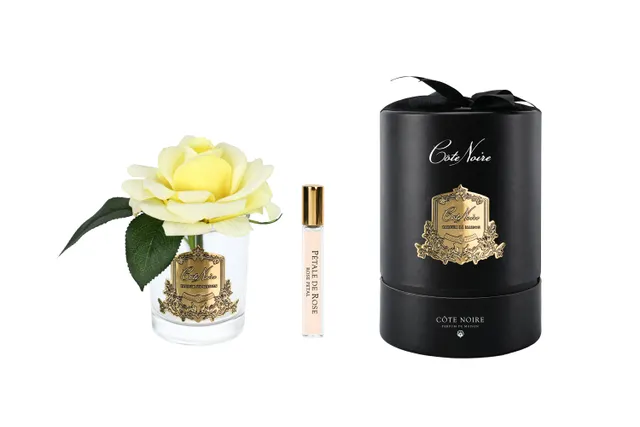 Côte Noire Perfumed Flowers RMR08 rose jaune fleurs parfumées