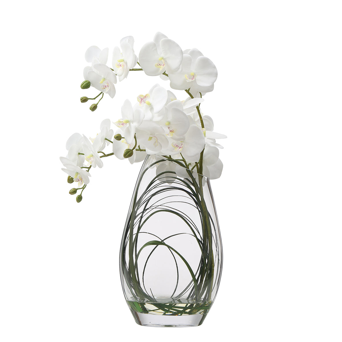 Sia Home Compositions florales orchidée blanche 46 cm vase