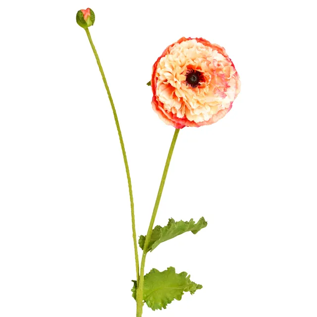 Sia Home Pipa tige coquelicot artificiel rouge 75 cm