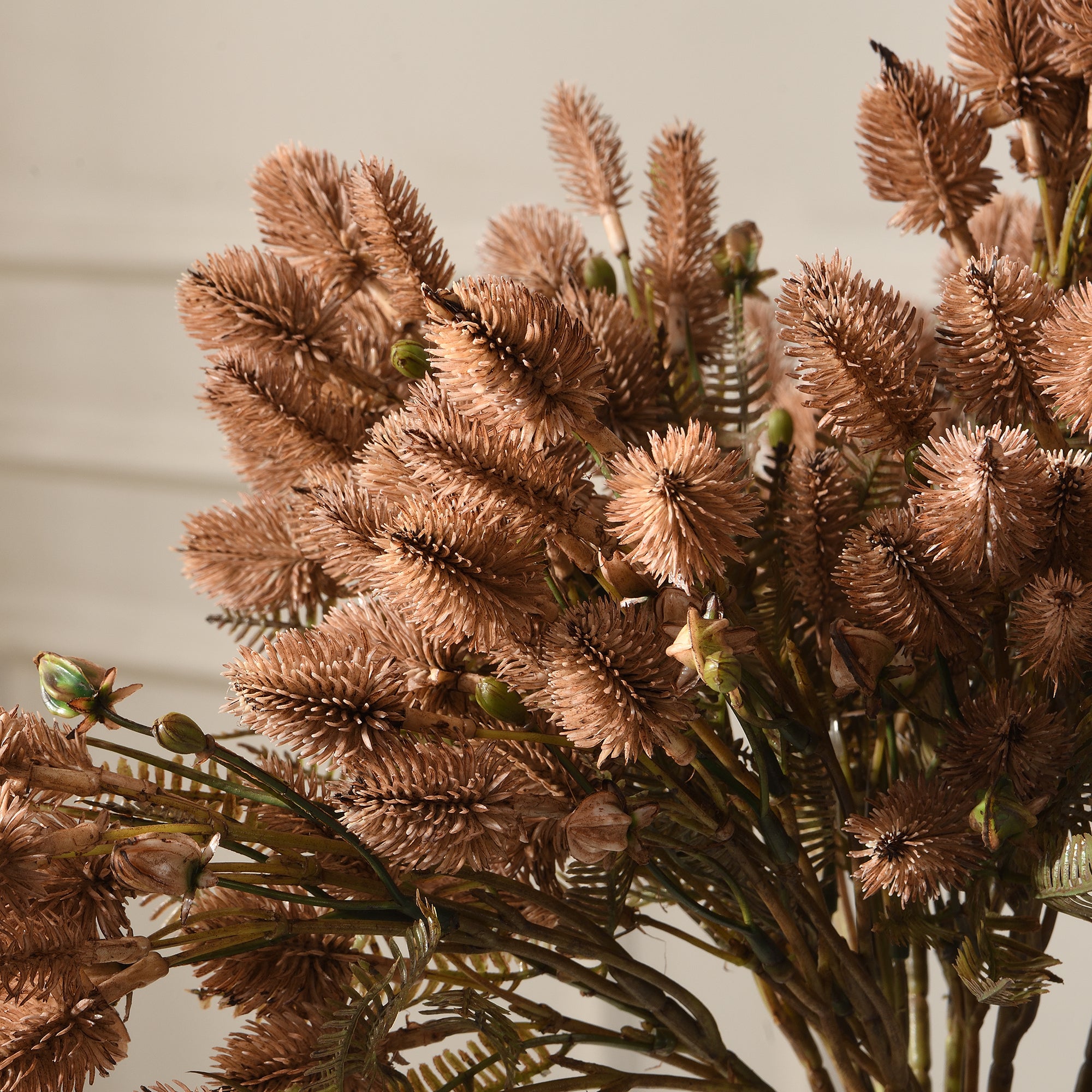 Sia Home Tiges fleurs Chardon 50 cm marron