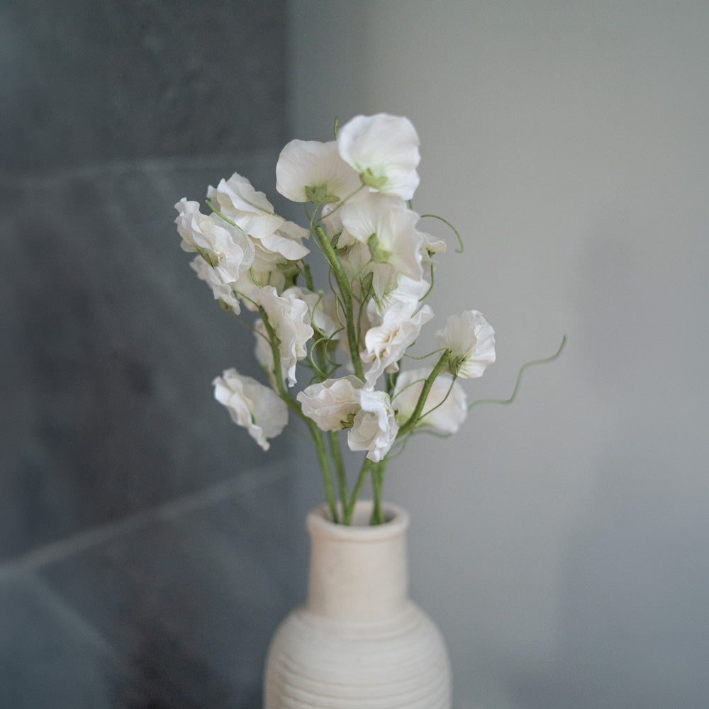 Flowrette Pois de senteur fleur papier blanc x1 sans entretien