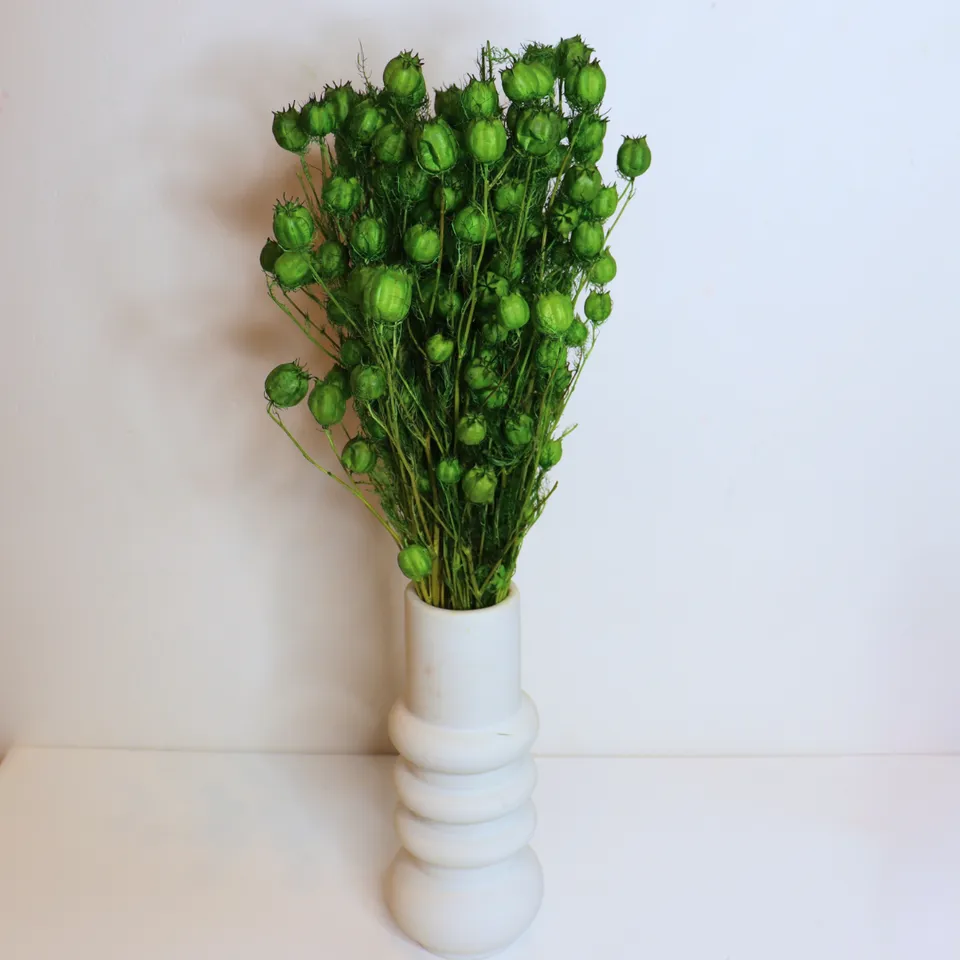 Ateliers Ouchamp Bottes Nigella séchée botte 100 g verte