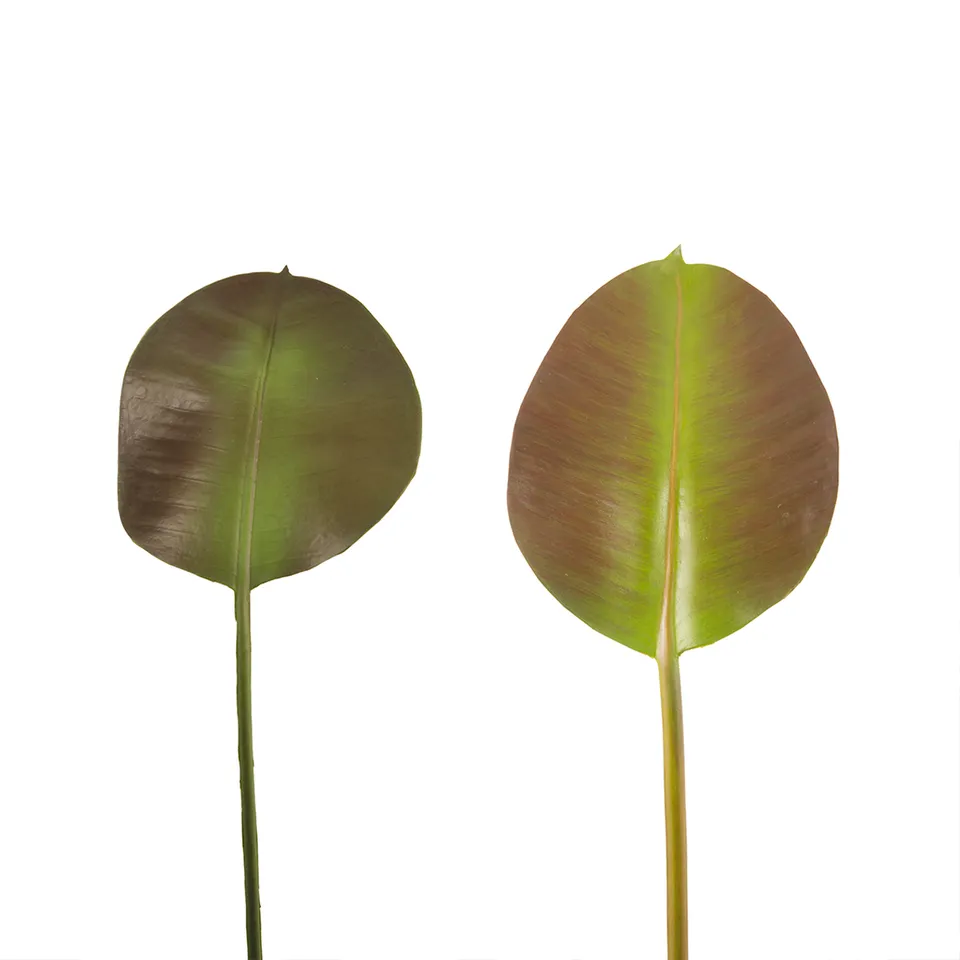 Sia Home Ficus feuillage artificiel vert 36 cm