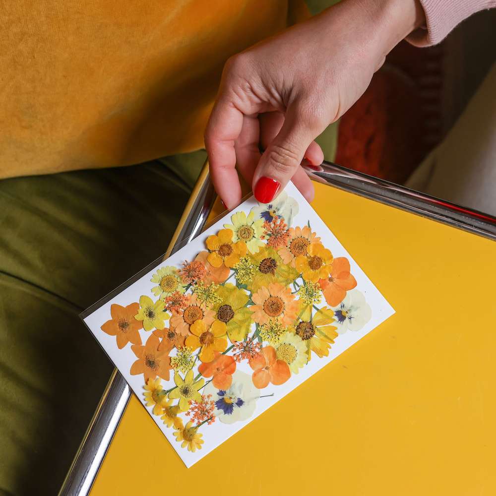 Flowrette Pochette fleurs pressées jaunes kit herbier DIY
