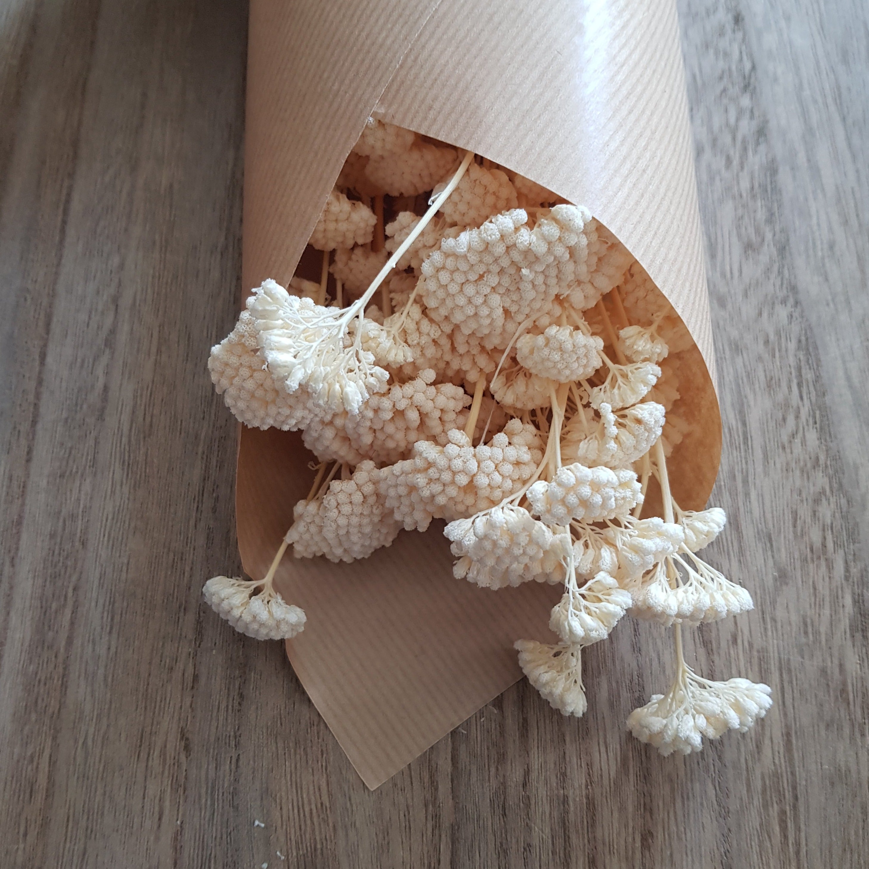 Ateliers Ouchamp Bottes achillée stabilisée botte 60 cm blanc
