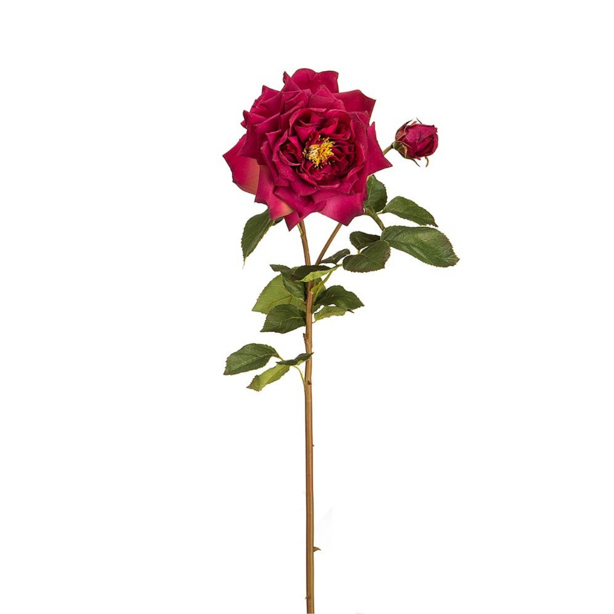 Sia Home Rose David ouverte tige artificielle rouge 80 cm