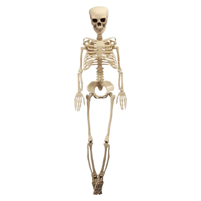 Feuillazur Rungis squelette articulé déco Halloween 100cm