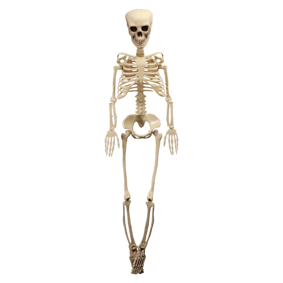 Feuillazur Rungis squelette articulé déco Halloween 100cm
