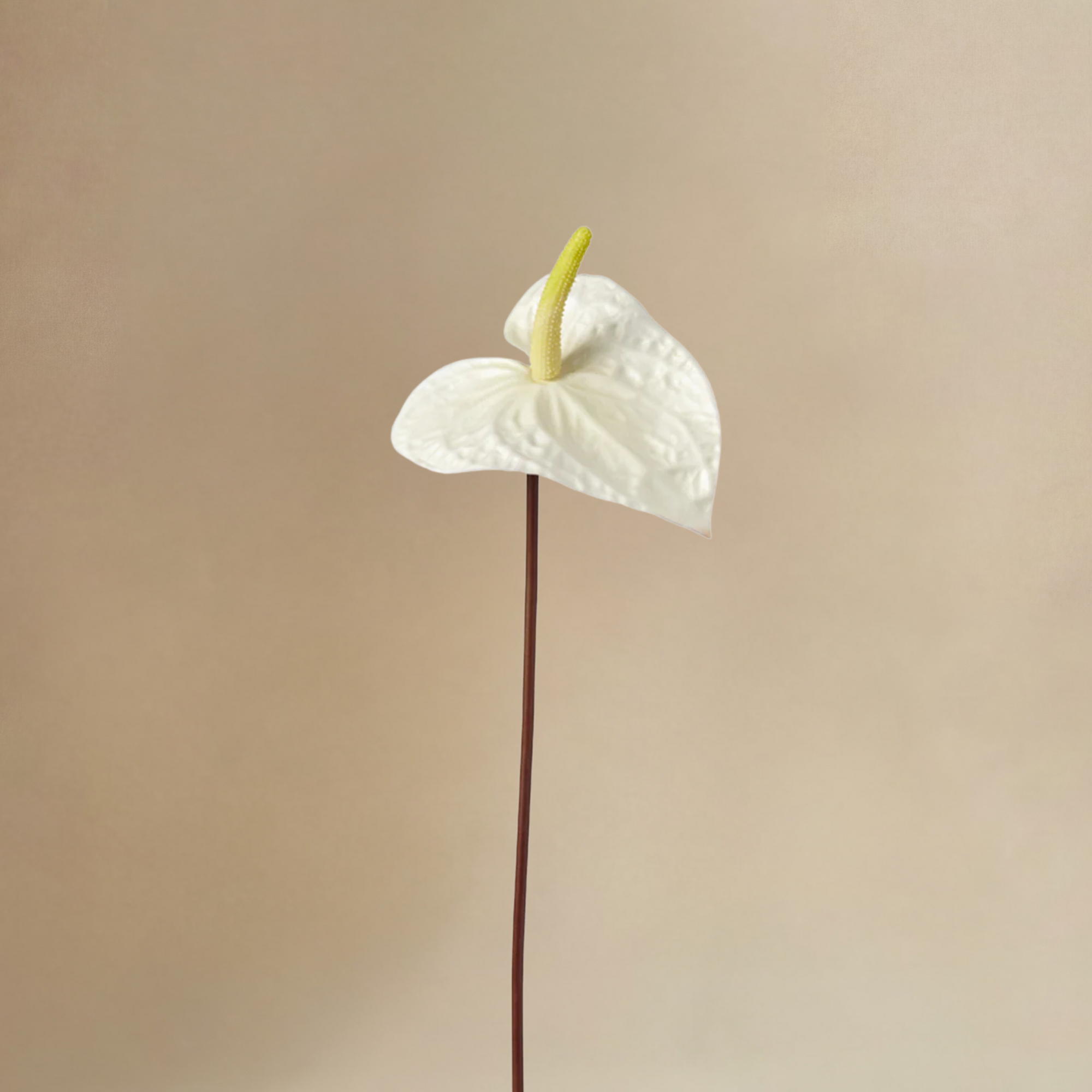 Sia Home Élora bouquet hortensias artificiel blanc 7 tiges