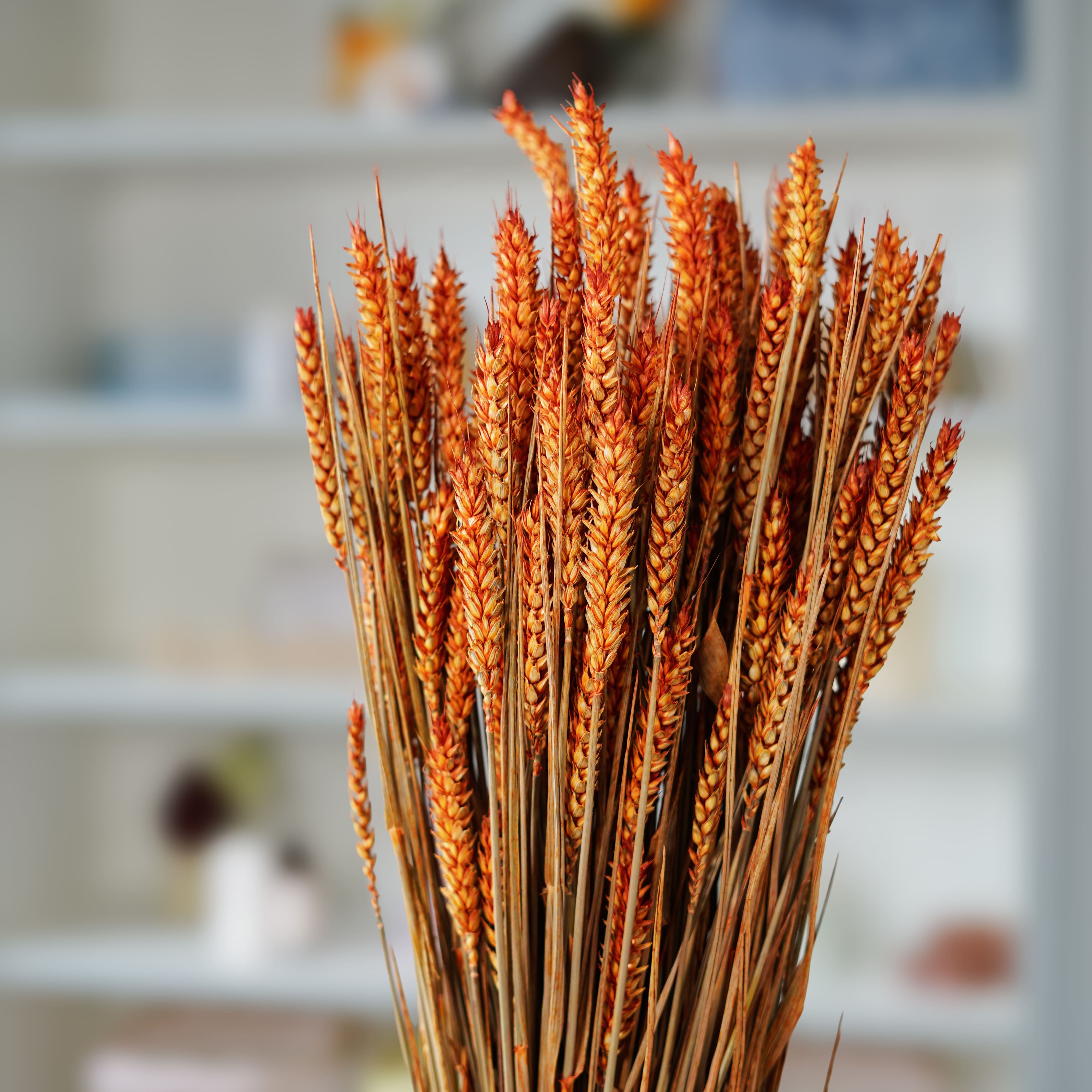 Flowrette Botte blé orange séché x1 déco champêtre