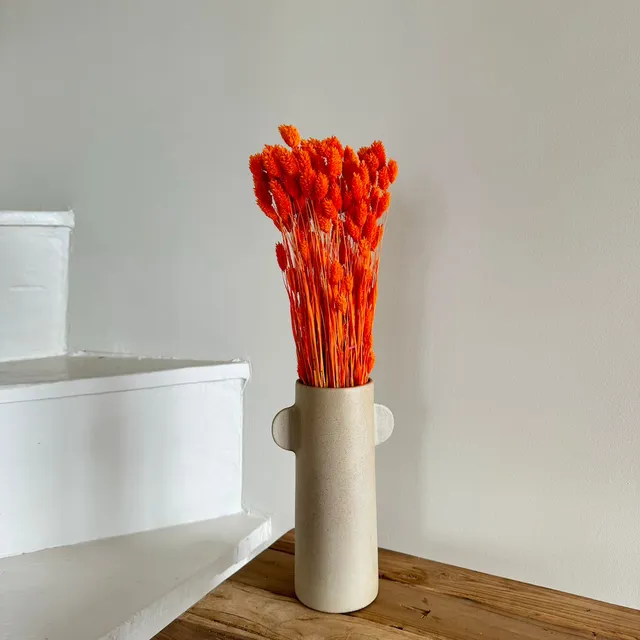 Flowrette Fleurs séchées Botte Phalaris orange foncé séchée x1
