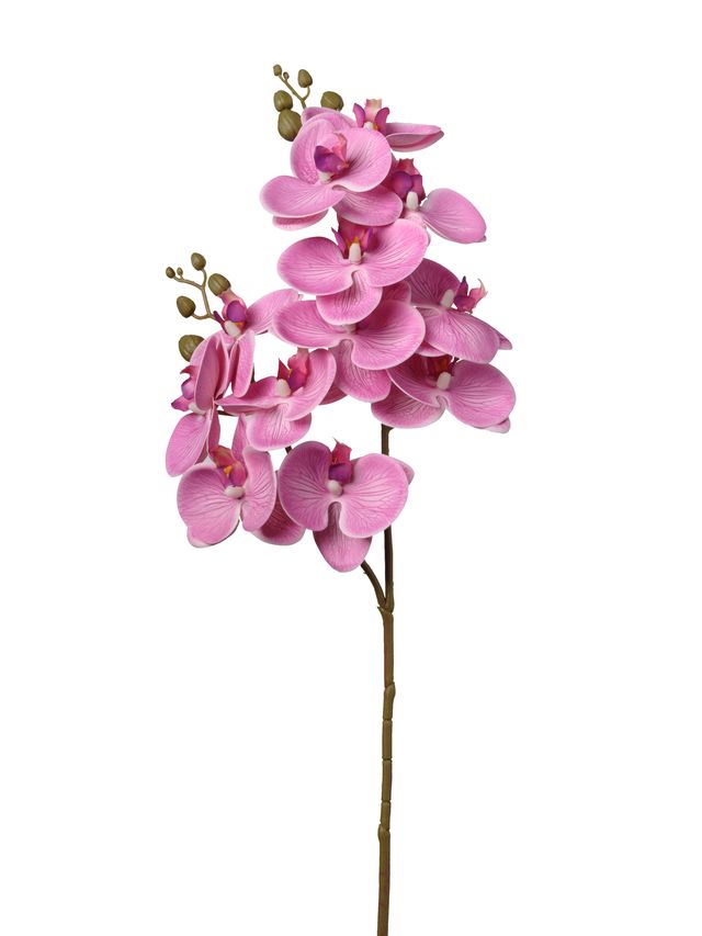 Feuillazur Rungis orchidée fleur artificielle blanche 74cm