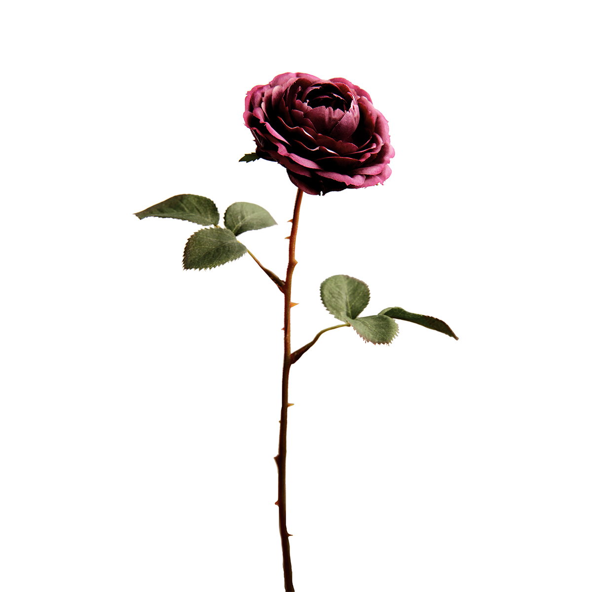 Sia Home Tige de Rose Tea fleur artificielle 33 cm rouge