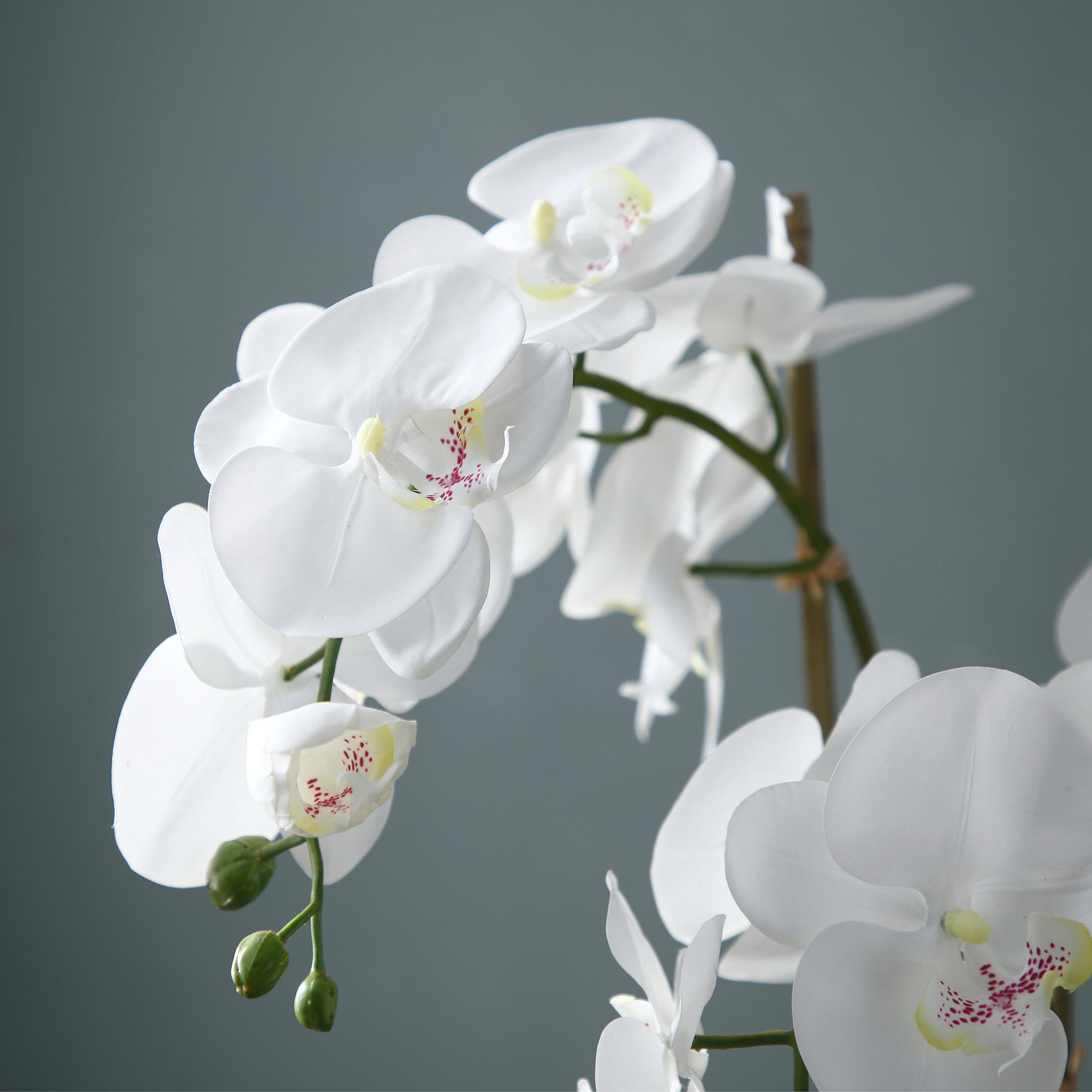 Sia Home Orchidée terre composition artificielle blanc 70 cm